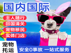 二连浩特航空托运国际宠物托运 【国
